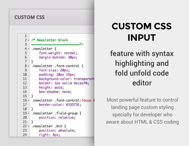 custom css input options