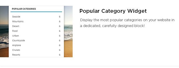 popular category widgets