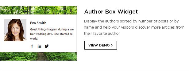 author box widgets