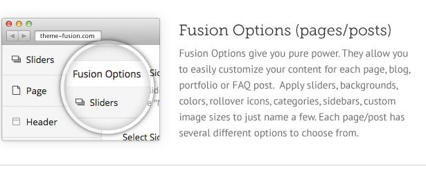 fusion option