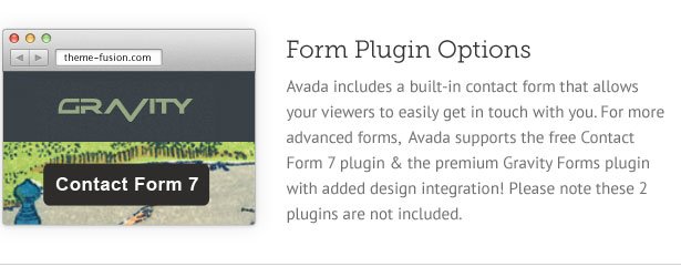 avada form plugin options