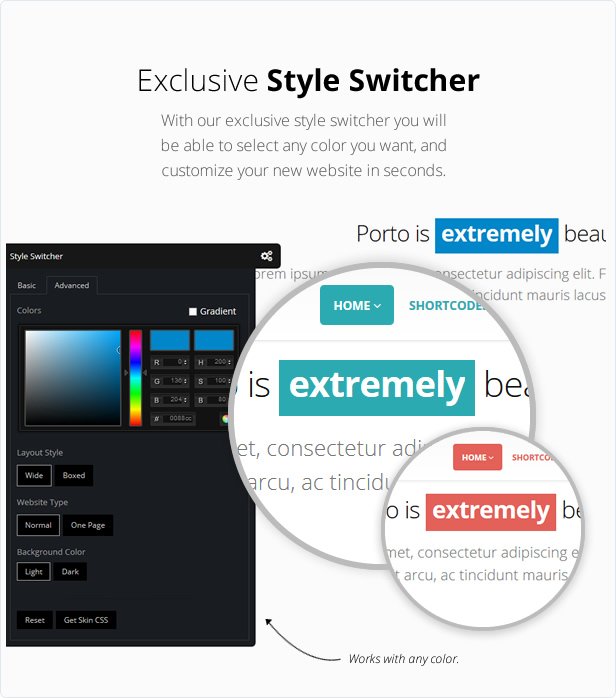 exclusive style switcher 
