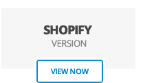 shopify version