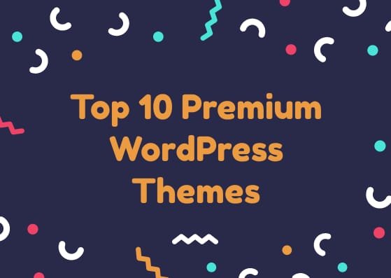 top 10 premium WordPress theme