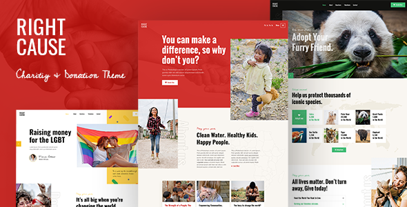 RightCause – Charity and Donation Theme