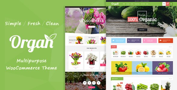 Organ – Organic Store & Flower Shop WooCommerce Theme