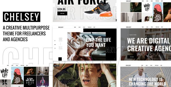 Chelsey – Portfolio Theme for Freelancers and Agencies