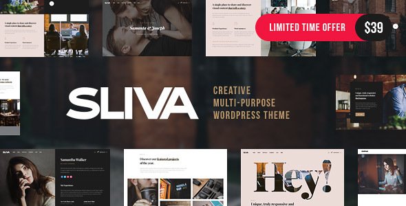 Sliva – Responsive Multi-Purpose Theme