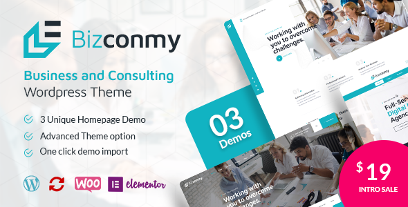 Bizconmy – Business and Consulting WordPress Theme