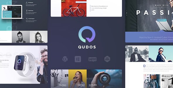 Qudos – Portfolio & Agency