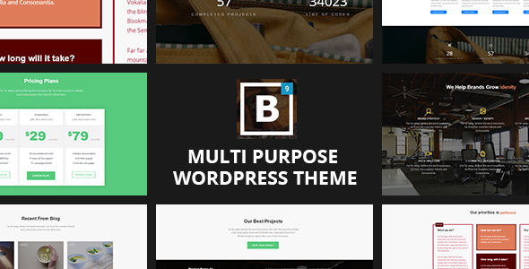 Responsive Multipurpose WordPress Theme – BIG Border