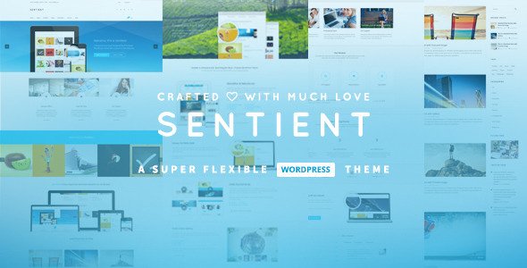 Sentient – Responsive Multi-Purpose WP Theme