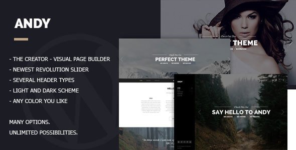 Andy – Multi/One-Page Minimal Parallax Theme