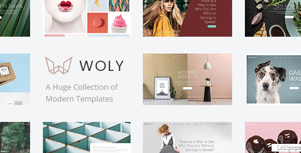 Woly – Multipurpose WordPress Theme