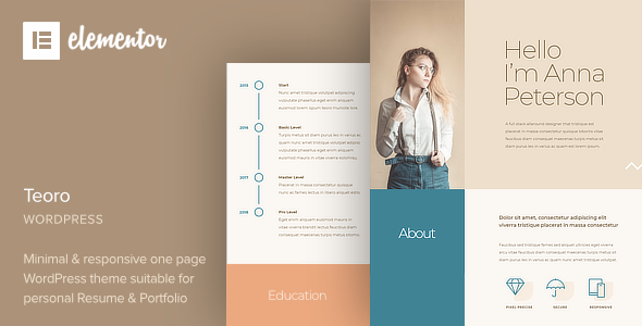 Teoro – CV Resume WordPress Theme