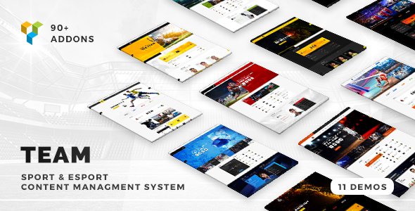 Team – Soccer, Football, Hockey, Basketball Club & eSport Gaming WordPress Theme