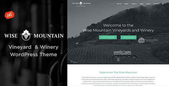 Wise Mountain – Vineyard and Winery Theme