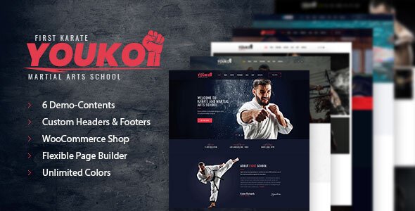 Youko – Martial Arts WordPress Theme