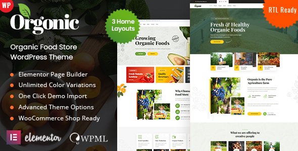 Orgonic – Organic Food Store WordPress Theme