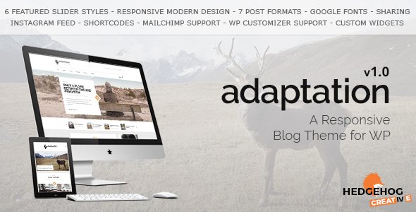 Adaptation – a Responsive Blog Theme for WordPress