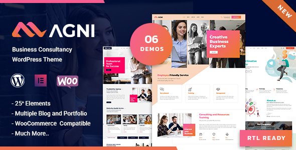 Agni – Business Consulting