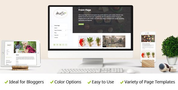 Amalie – Modern Blogging WordPress Theme