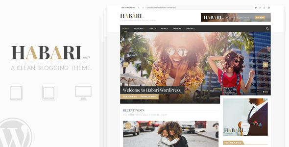 Habari – A Responsive WordPress Blog Theme