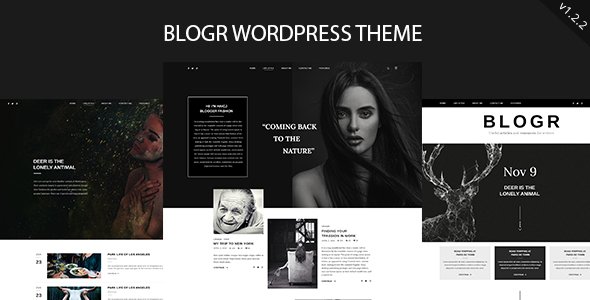 BLOGR – WordPress Theme for Special Bloggers