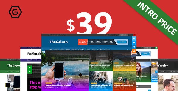 The Galison – Multi-Concept News and Magazine Theme