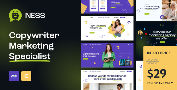 Ness – Marketing Agency & SMM WordPress Theme
