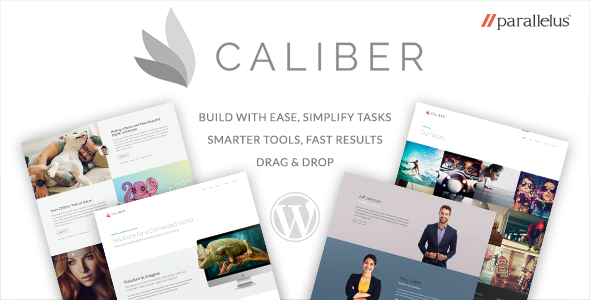 Responsive WordPress Theme – Caliber
