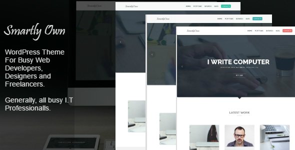 Smartly Own – WordPress Theme For I.T Professionals