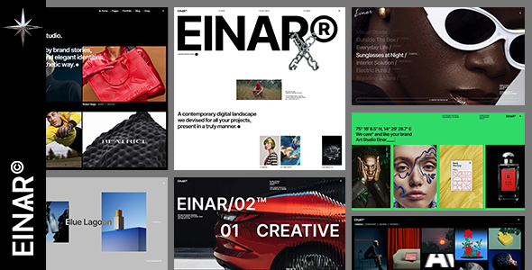 Einar – Design Agency WordPress Theme